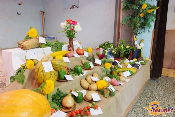 FOTO: Ges mon pa najvejkše - razstava najkmetijskih pridelkov Pomurja