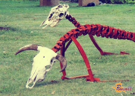 FOTO: Faraonove sanje - sedem suhih krav