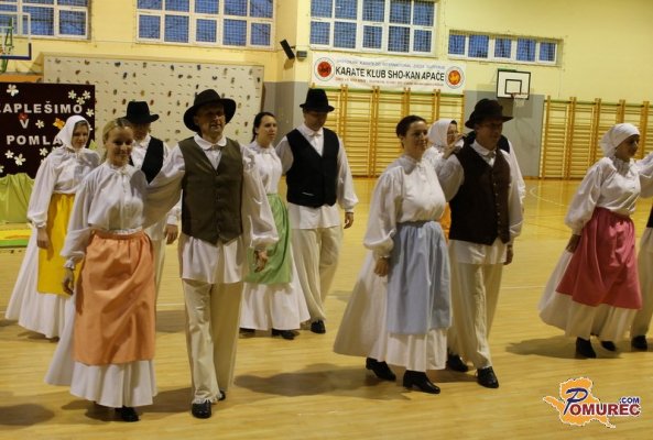 FOTO: Območno srečanje otroških in odraslih folklornih skupin v Apačah