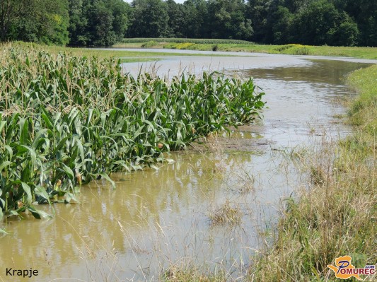 FOTO: Poplavljanje reke Mure