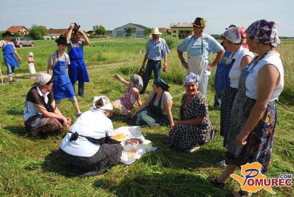 FOTO: Tekmovanje v košnji trave