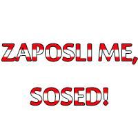 Z delavnostjo in vztrajnostjo do zaposlitve v Avstriji