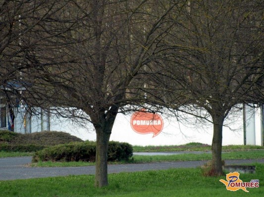 Državna SID banka zanika, da je dala kadarkoli kredit Pomurki