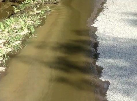 VIDEO: Iz bioplinarne v Motvarjevcih iztekla gnojnica