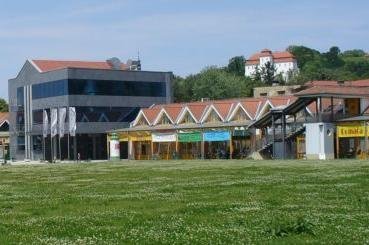 Prestrukturiranje v Nafti Petrochem