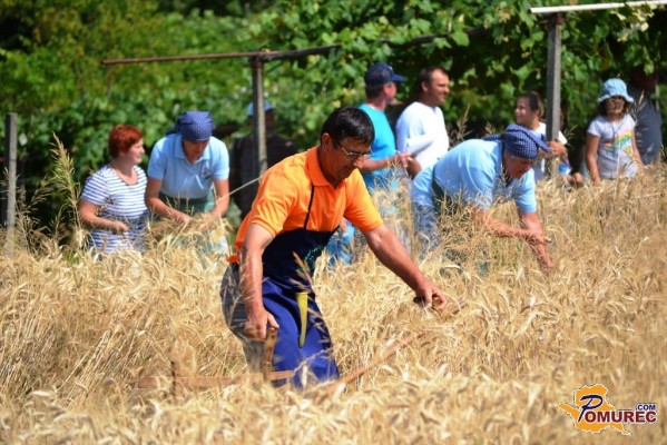 FOTO: 19. žetev zlatega klasa na Stari Gori