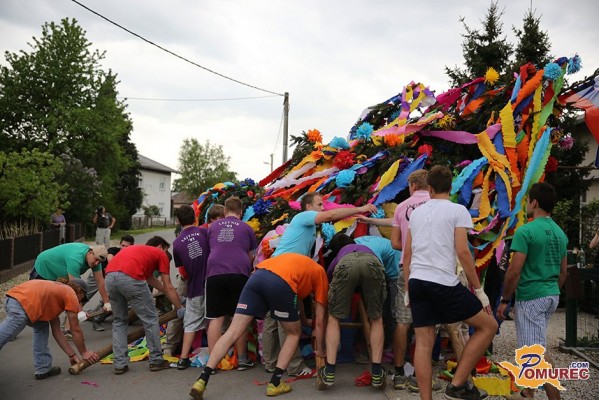FOTO: Mladi v Gančanih postavili že 94. Majoš