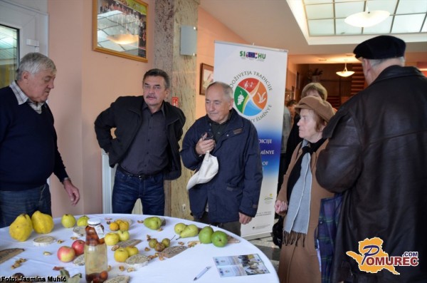 FOTO: Razstava sadja v Murski Soboti