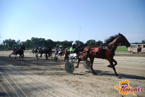 FOTO: Dan konjskih moči v Ljutomeru