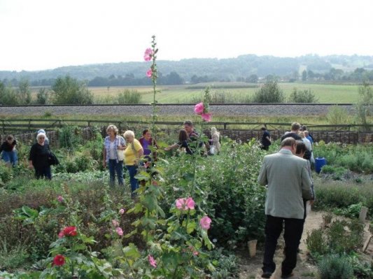 Otroci dandanes poznajo le še filter čaje iz supermarketov ...