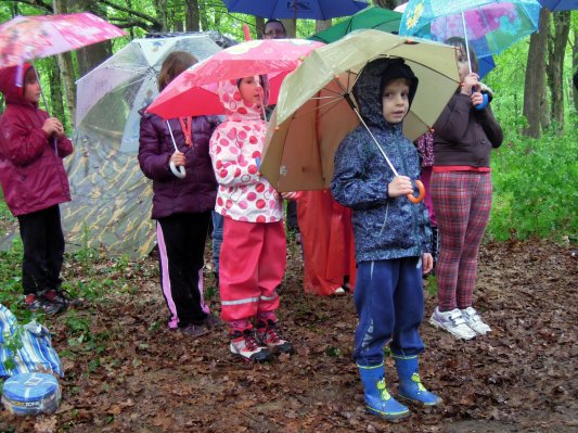 FOTO: Taborniki Rod Veseli veter ob dnevu tabornikov in Zemlje
