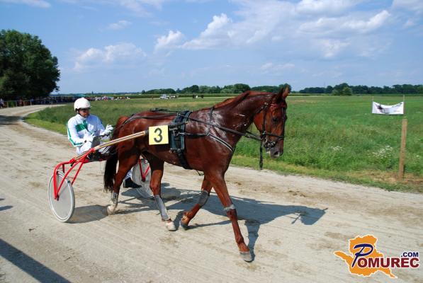 FOTO: 5. mednarodne kasaške dirke in slovo kasaške legende v Križevcih