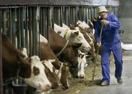 Zavarovalniška korist