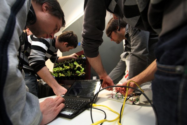 Zeleno steno, ki jo bo v praksi uporabljalo podjetje Humko, razvijal tudi pomurski študent