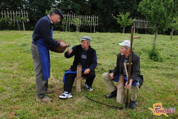 FOTO: Košnja trave v Bogojinskem ogračeku