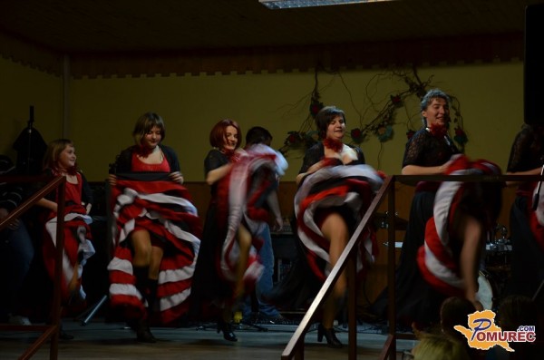 FOTO: Proslava ob dnevu žena v Selu