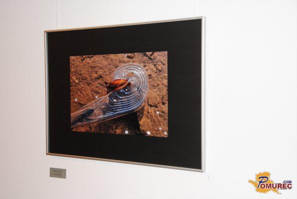 FOTO: Razstava Foto-video kluba Lendava