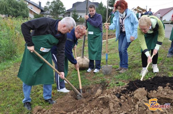 Na Tišinski ulici stoji nov lipov drevored