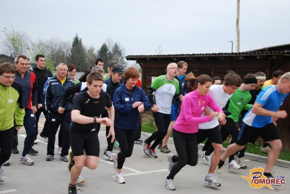 FOTO: V Polanskem logu znova tekli za močvirski tulipan