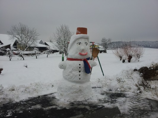 FOTO: Poslali ste nam 103 snežakov vseh oblik in velikosti!