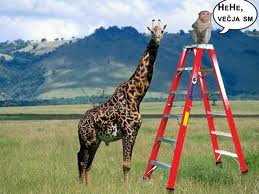 Merita višino lestve