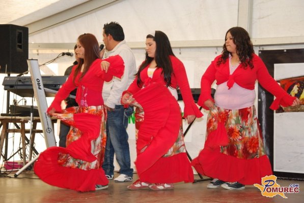 FOTO: V Kamencih s plesom in petjem obeležili svetovni dan Romov