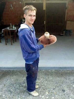 Ogromen šampinjon bo končal na pici