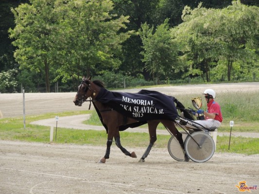 FOTO: Na kasaški dirkah v Ljutomeru Memorialna dirka Marka Slaviča st.