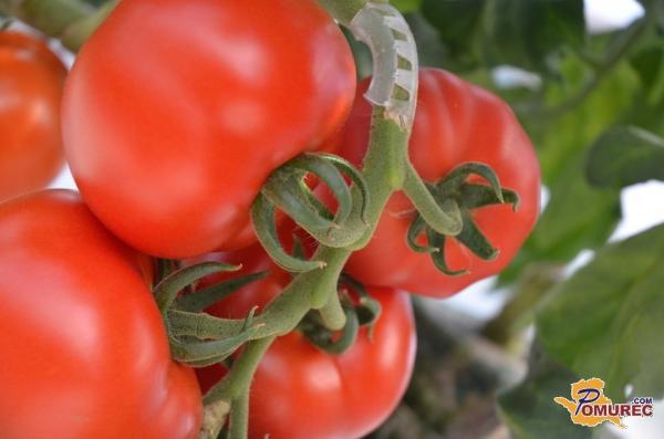 Preveri, kako katera barva vpliva na tvoje razpoloženje