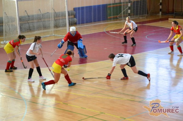 FOTO: Naslov hokejskih državnih prvakov v Lipovce in Predanovce