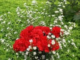 Danes obeležujemo praznik dela