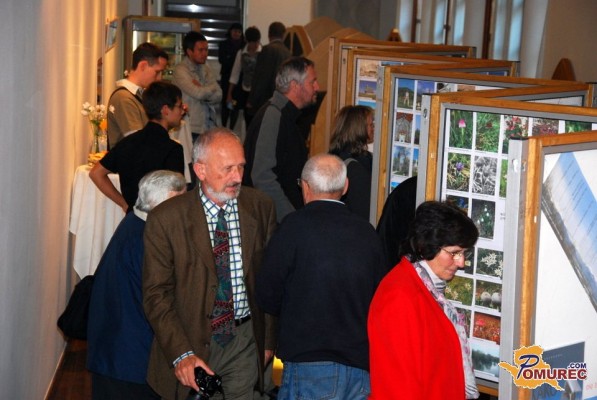 FOTO: V Lendavi na ogled 600 razglednic