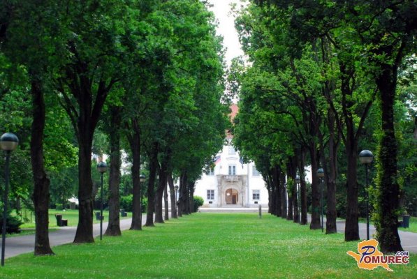 Najslabše živimo v Murski Soboti