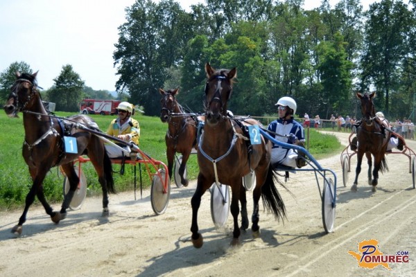 FOTO: Kasači popestrili nedeljsko popoldne v Križevcih