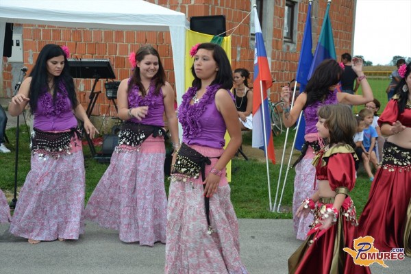 FOTO: Predstavitev romskih plesov v Vanča vasi