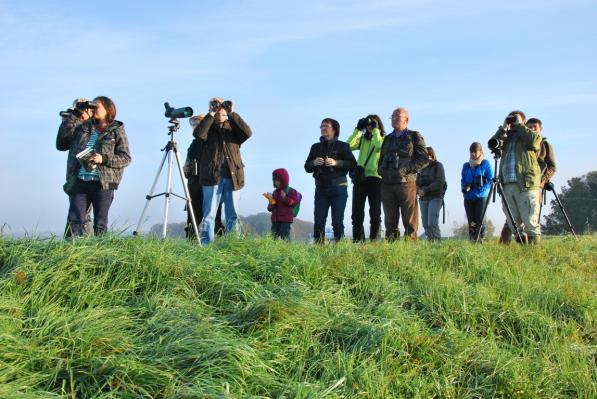 FOTO: Ob Gajševskem jezeru občudovali različne ptice