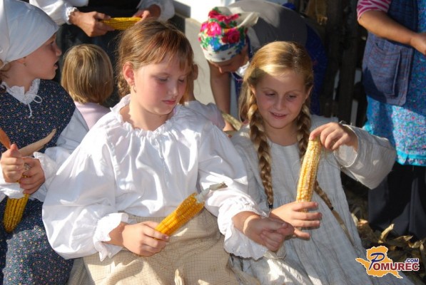 FOTO: V Nedelici obudili »življenje na koruzi«