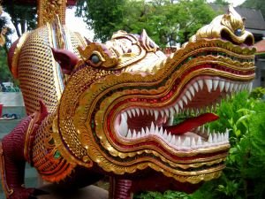 Po kitajskem horoskopu je letos leto zmaja