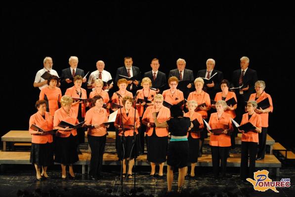Društva upokojencev zapela v Kulturnem domu Lendava