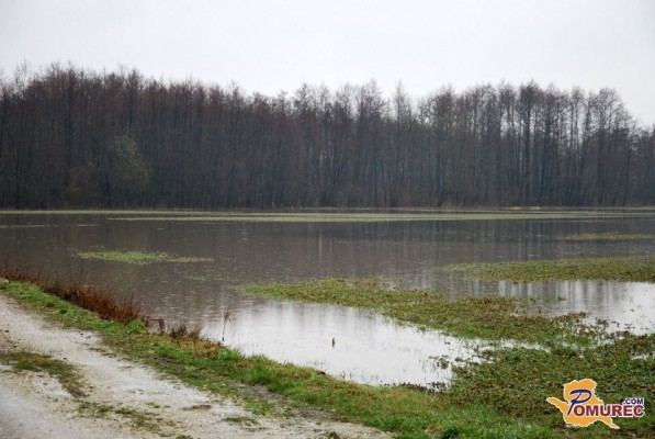 Tretjino kmetijskih površin v Pomurju prizadele poplave