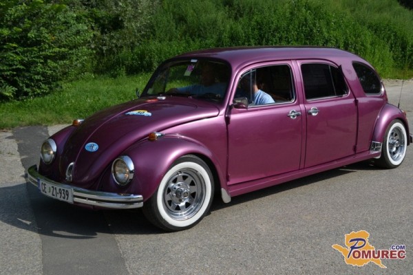 FOTO: Hrošči so obiskali tudi Bakovce