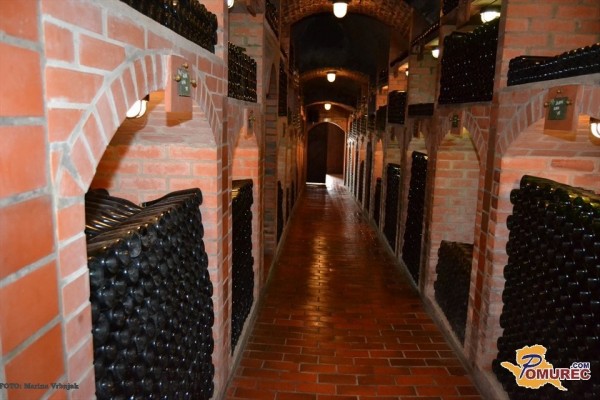 Marija Kaučič bije boj za vinski kleti Radgonskih goric