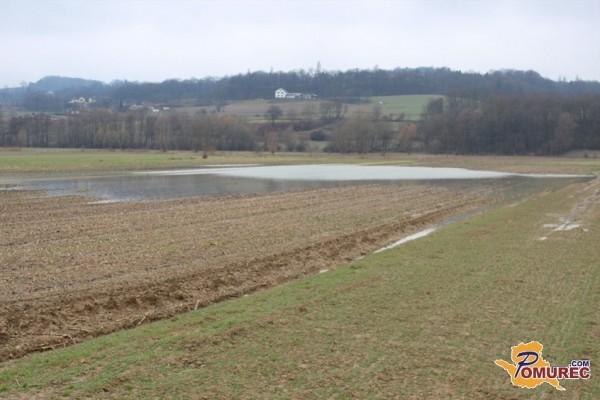 V Pomurju setev jarih žit ne bo mogoča, na ozimnih žitih pa se pase divjad
