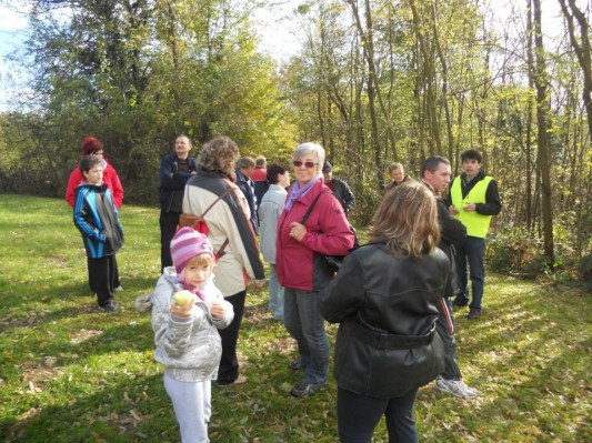 FOTO: 1. Kostanjev pohod v Fokovcih