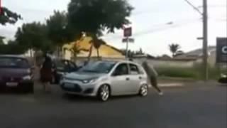 Kaj se zgodi, če voziš prenizek avto