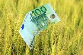 Kmetje s pogajanj o ceni pšenice včeraj odšli nezadovoljni, danes dogovor pri ministru Židanu