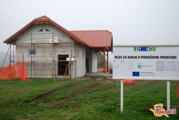 V nastajajočem konjeniškem centru v Kamencih si želijo črnih vrancev