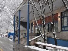 Mujo in Haso delata filozofsko fakulteto