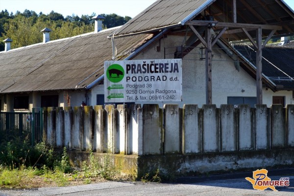 Prebivalci Podgrada odločni: Nočemo prašičje farme!