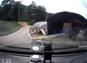 Nesreča na izpitni vožnji